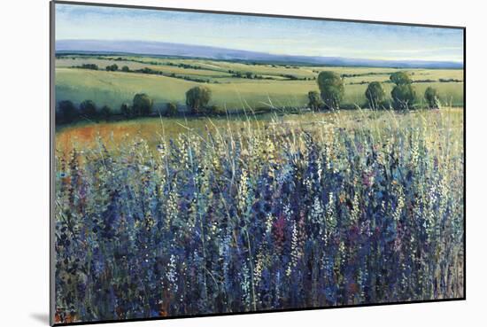 Wildflower Vista-Tim O'toole-Mounted Premium Giclee Print