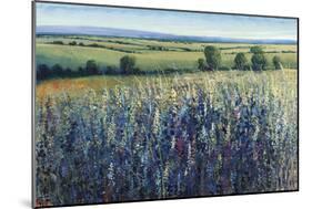 Wildflower Vista-Tim O'toole-Mounted Premium Giclee Print