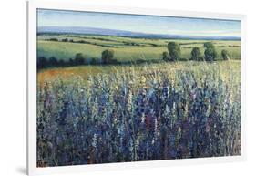 Wildflower Vista-Tim O'toole-Framed Giclee Print