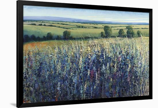 Wildflower Vista-Tim O'toole-Framed Giclee Print