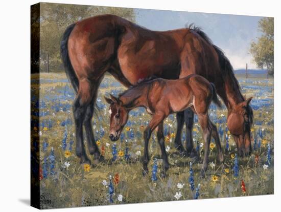 Wildflower-Jack Sorenson-Stretched Canvas