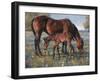 Wildflower-Jack Sorenson-Framed Art Print