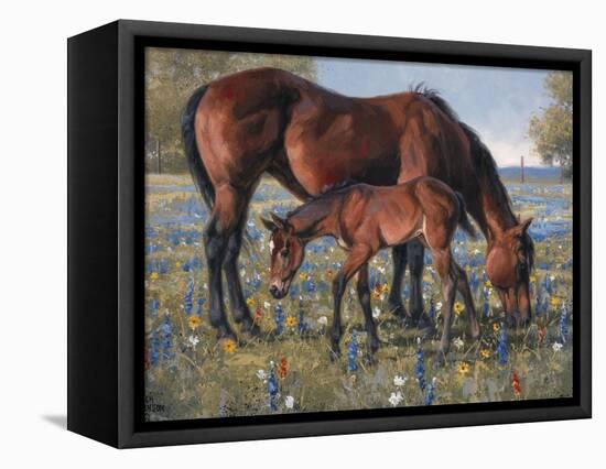 Wildflower-Jack Sorenson-Framed Stretched Canvas