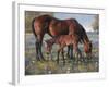 Wildflower-Jack Sorenson-Framed Art Print