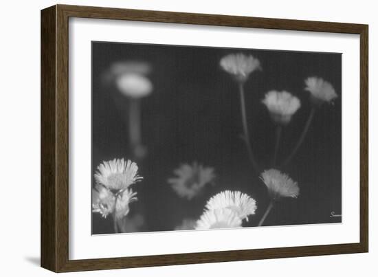 Wildflowers 4-Gordon Semmens-Framed Photographic Print