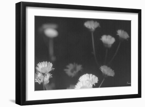 Wildflowers 4-Gordon Semmens-Framed Photographic Print