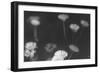 Wildflowers 4-Gordon Semmens-Framed Photographic Print