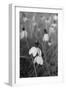 Wildflowers 9-Gordon Semmens-Framed Photographic Print