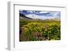 Wildflowers, Alaska Basin, Targhee Nf, Idaho, Teton Mountains-Howie Garber-Framed Photographic Print