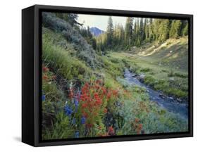 Wildflowers Along Chamberlain Creek, White Cloud Peaks, Sawtooth National Reservation Area, Idaho-Scott T^ Smith-Framed Stretched Canvas