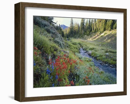 Wildflowers Along Chamberlain Creek, White Cloud Peaks, Sawtooth National Reservation Area, Idaho-Scott T^ Smith-Framed Photographic Print