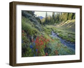 Wildflowers Along Chamberlain Creek, White Cloud Peaks, Sawtooth National Reservation Area, Idaho-Scott T^ Smith-Framed Photographic Print