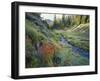 Wildflowers Along Chamberlain Creek, White Cloud Peaks, Sawtooth National Reservation Area, Idaho-Scott T^ Smith-Framed Photographic Print