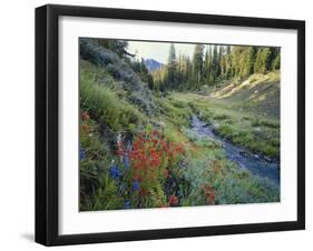 Wildflowers Along Chamberlain Creek, White Cloud Peaks, Sawtooth National Reservation Area, Idaho-Scott T^ Smith-Framed Photographic Print