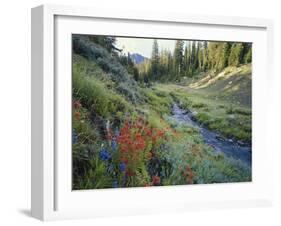 Wildflowers Along Chamberlain Creek, White Cloud Peaks, Sawtooth National Reservation Area, Idaho-Scott T^ Smith-Framed Photographic Print