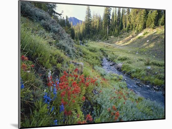 Wildflowers Along Chamberlain Creek, White Cloud Peaks, Sawtooth National Reservation Area, Idaho-Scott T^ Smith-Mounted Photographic Print