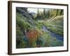 Wildflowers Along Chamberlain Creek, White Cloud Peaks, Sawtooth National Reservation Area, Idaho-Scott T^ Smith-Framed Photographic Print