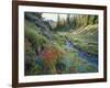 Wildflowers Along Chamberlain Creek, White Cloud Peaks, Sawtooth National Reservation Area, Idaho-Scott T^ Smith-Framed Photographic Print