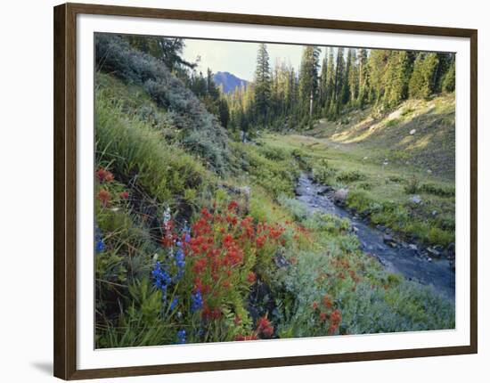 Wildflowers Along Chamberlain Creek, White Cloud Peaks, Sawtooth National Reservation Area, Idaho-Scott T^ Smith-Framed Photographic Print