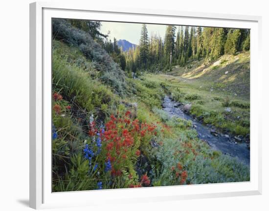 Wildflowers Along Chamberlain Creek, White Cloud Peaks, Sawtooth National Reservation Area, Idaho-Scott T^ Smith-Framed Photographic Print