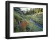 Wildflowers Along Chamberlain Creek, White Cloud Peaks, Sawtooth National Reservation Area, Idaho-Scott T^ Smith-Framed Photographic Print