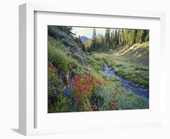 Wildflowers Along Chamberlain Creek, White Cloud Peaks, Sawtooth National Reservation Area, Idaho-Scott T^ Smith-Framed Photographic Print