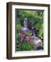 Wildflowers Along Flowing Stream in an Alpine Meadow, Rocky Mountains, Colorado, USA-Christopher Talbot Frank-Framed Photographic Print