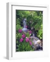 Wildflowers Along Flowing Stream in an Alpine Meadow, Rocky Mountains, Colorado, USA-Christopher Talbot Frank-Framed Photographic Print