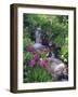 Wildflowers Along Flowing Stream in an Alpine Meadow, Rocky Mountains, Colorado, USA-Christopher Talbot Frank-Framed Photographic Print