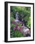 Wildflowers Along Flowing Stream in an Alpine Meadow, Rocky Mountains, Colorado, USA-Christopher Talbot Frank-Framed Photographic Print