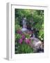 Wildflowers Along Flowing Stream in an Alpine Meadow, Rocky Mountains, Colorado, USA-Christopher Talbot Frank-Framed Photographic Print