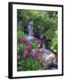 Wildflowers Along Flowing Stream in an Alpine Meadow, Rocky Mountains, Colorado, USA-Christopher Talbot Frank-Framed Photographic Print