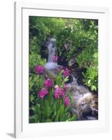 Wildflowers Along Flowing Stream in an Alpine Meadow, Rocky Mountains, Colorado, USA-Christopher Talbot Frank-Framed Photographic Print