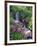 Wildflowers Along Flowing Stream in an Alpine Meadow, Rocky Mountains, Colorado, USA-Christopher Talbot Frank-Framed Photographic Print