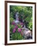 Wildflowers Along Flowing Stream in an Alpine Meadow, Rocky Mountains, Colorado, USA-Christopher Talbot Frank-Framed Photographic Print