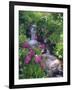 Wildflowers Along Flowing Stream in an Alpine Meadow, Rocky Mountains, Colorado, USA-Christopher Talbot Frank-Framed Photographic Print