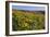 Wildflowers along Hillside, Columbia River Gorge National Scenic Area, Oregon-Craig Tuttle-Framed Photographic Print