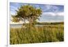 Wildflowers along Medicine Lake in Medicine Lake National Wildlife Refuge, Montana, USA-Chuck Haney-Framed Photographic Print