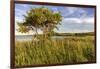 Wildflowers along Medicine Lake in Medicine Lake National Wildlife Refuge, Montana, USA-Chuck Haney-Framed Photographic Print