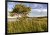 Wildflowers along Medicine Lake in Medicine Lake National Wildlife Refuge, Montana, USA-Chuck Haney-Framed Photographic Print