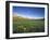 Wildflowers Along Rocky Mountain Front Near Browning, Montana, USA-Chuck Haney-Framed Photographic Print