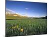 Wildflowers Along Rocky Mountain Front Near Browning, Montana, USA-Chuck Haney-Mounted Photographic Print