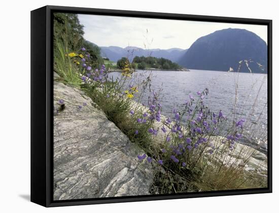 Wildflowers along Sognefjord near Vadheim, Norway-Paul Souders-Framed Stretched Canvas