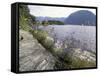 Wildflowers along Sognefjord near Vadheim, Norway-Paul Souders-Framed Stretched Canvas