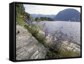 Wildflowers along Sognefjord near Vadheim, Norway-Paul Souders-Framed Stretched Canvas