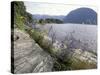 Wildflowers along Sognefjord near Vadheim, Norway-Paul Souders-Stretched Canvas