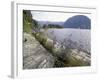 Wildflowers along Sognefjord near Vadheim, Norway-Paul Souders-Framed Photographic Print