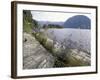 Wildflowers along Sognefjord near Vadheim, Norway-Paul Souders-Framed Photographic Print