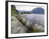 Wildflowers along Sognefjord near Vadheim, Norway-Paul Souders-Framed Photographic Print