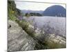 Wildflowers along Sognefjord near Vadheim, Norway-Paul Souders-Mounted Photographic Print